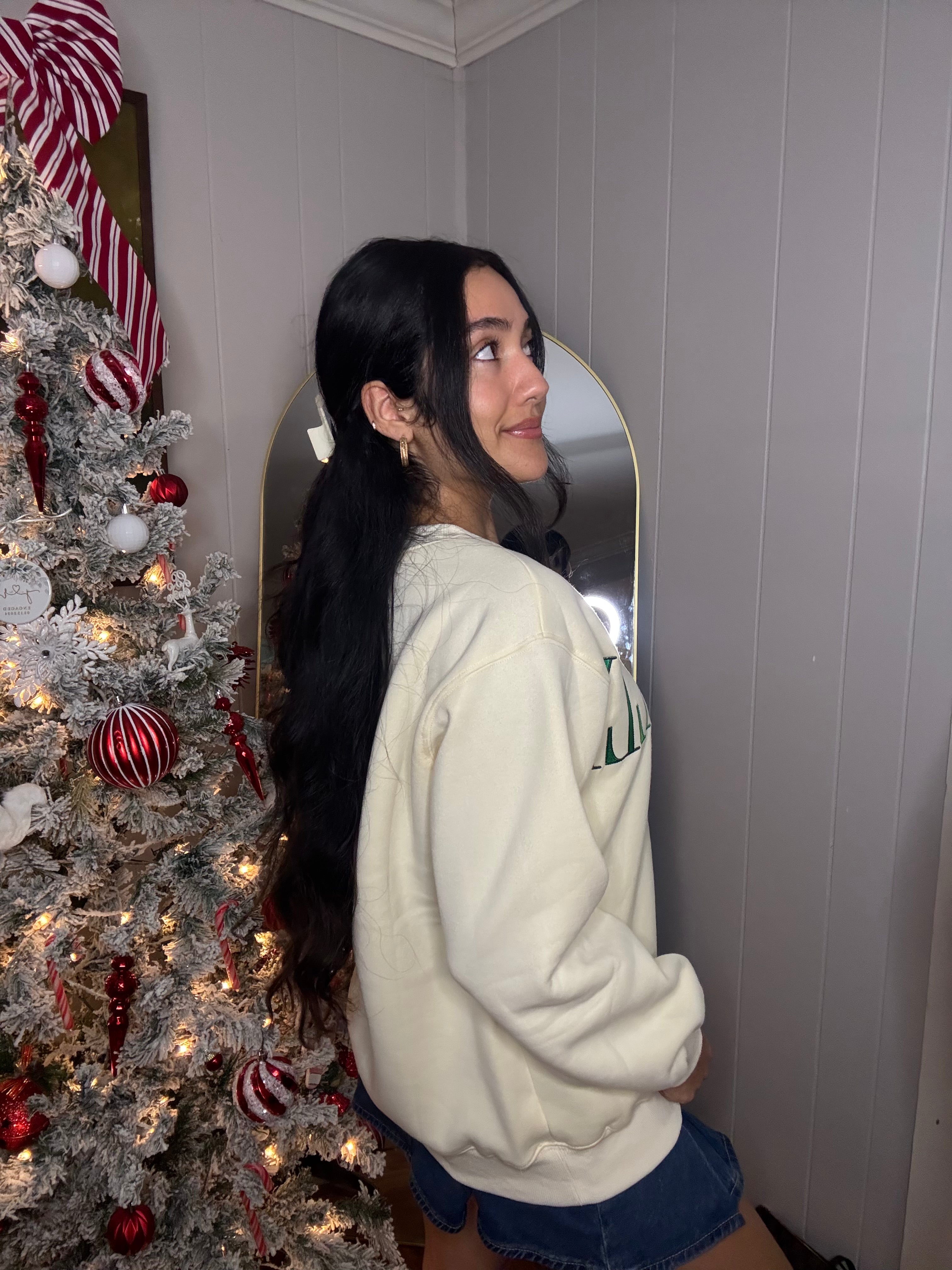 Holly Jolly Embroidered Sweatshirt